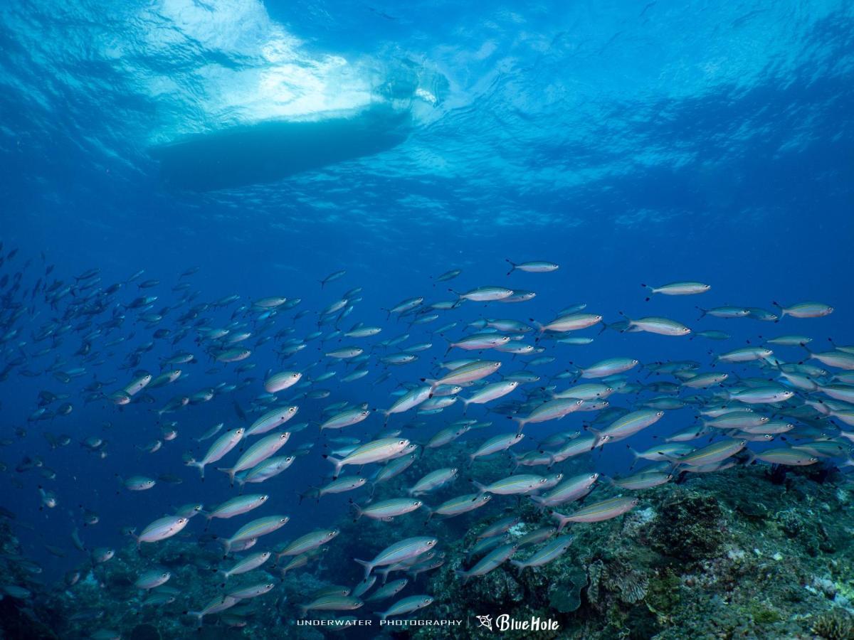 Bed and Breakfast 藍洞潛水Blue Hole Dive Center à Heng-ch'un Extérieur photo